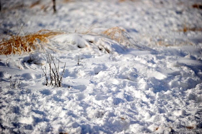 Uludağ'da kar kalınlığı 3 santimetre -7