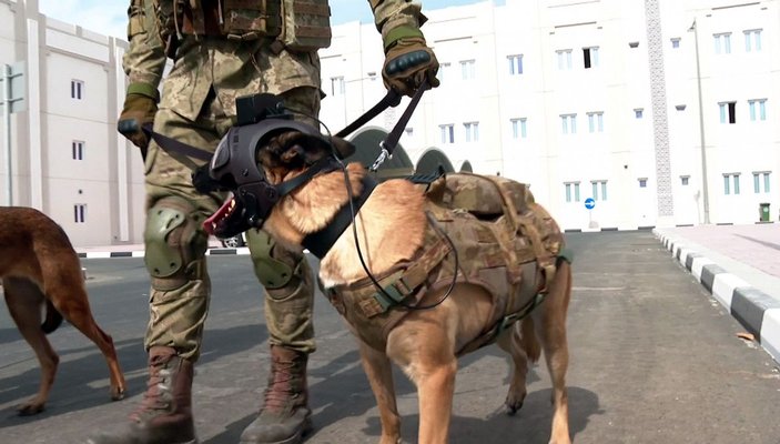 Dünya Kupası'nda TSK'nın bomba arama köpekleri de görev yapıyor -2