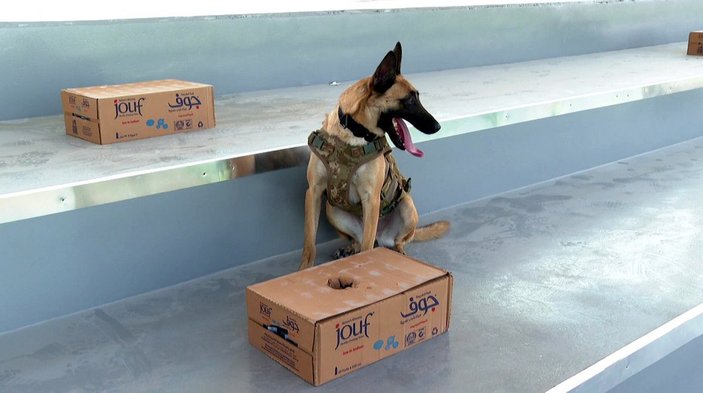 Dünya Kupası'nda TSK'nın bomba arama köpekleri de görev yapıyor -3