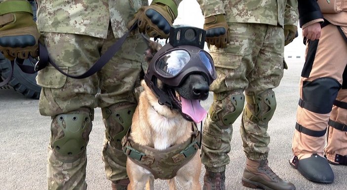 Dünya Kupası'nda TSK'nın bomba arama köpekleri de görev yapıyor -1