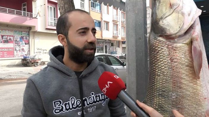 Avladığı 128 kiloluk 'Fırat turnası'nı iş yerinde sergiliyor -4
