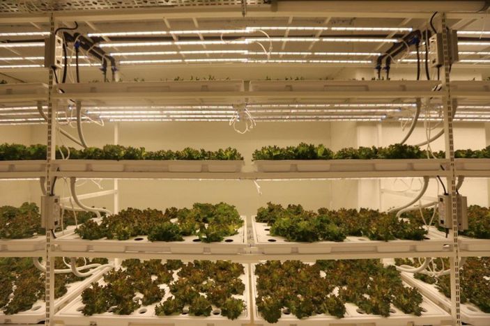 Bakan Kirişci: Sözleşmeli tarımı zorunlu hale getireceğiz -4