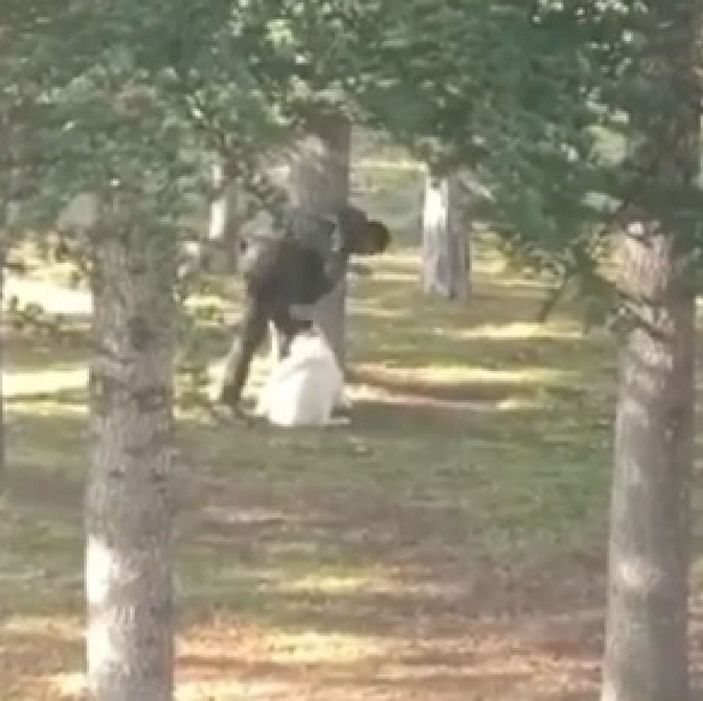 Parkta köpeğe sopalı- yumruklu işkenceye gözaltı -4