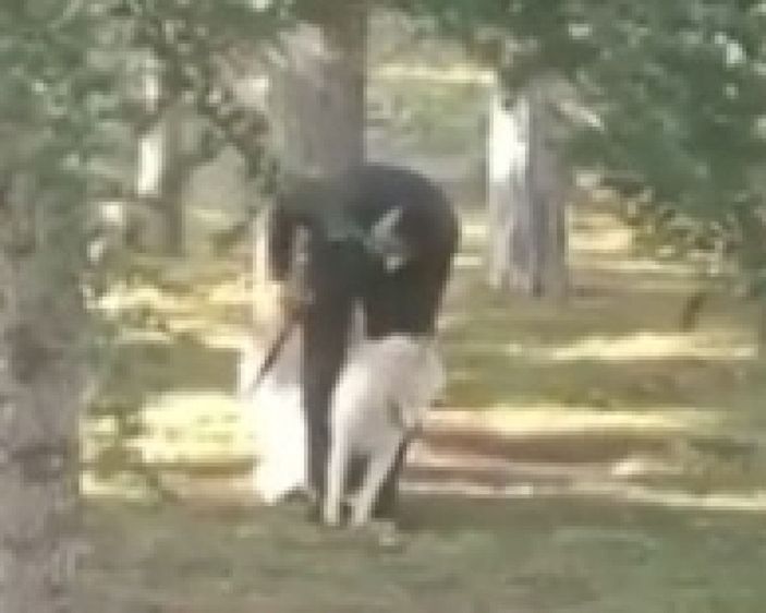 Parkta köpeğe sopalı- yumruklu işkenceye gözaltı -5