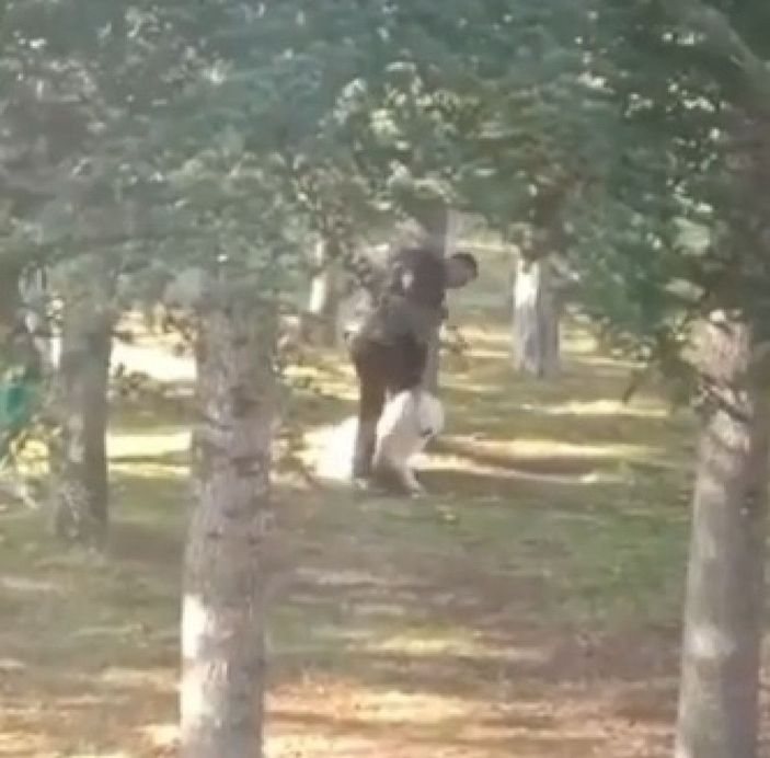 Parkta köpeğe sopalı- yumruklu işkenceye gözaltı -3