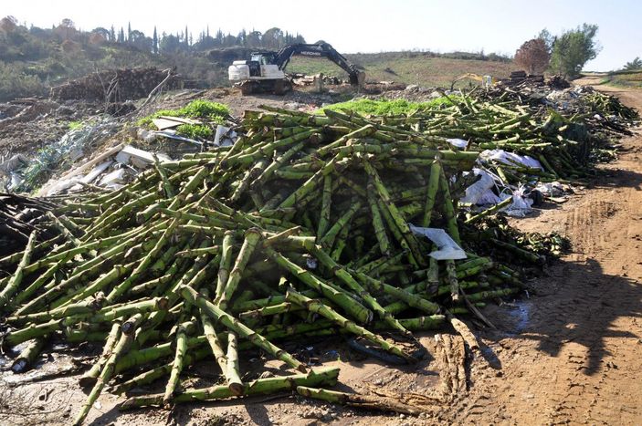 Büyük Manavgat yangınından etkilenen bölge yine çöplüğe döndü -8