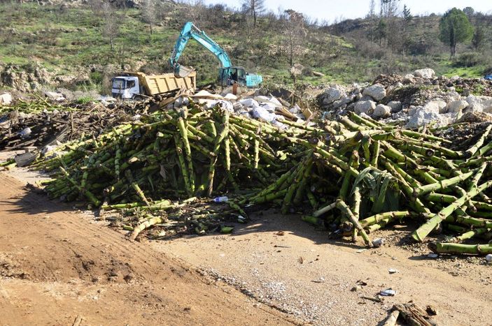 Büyük Manavgat yangınından etkilenen bölge yine çöplüğe döndü -6