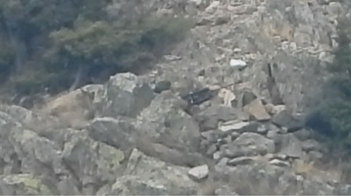 Dron ile tespit edilen kaçak avcılara para cezası -4