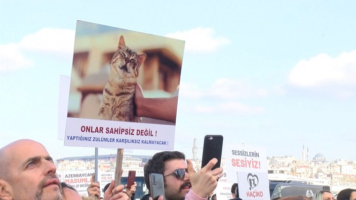 Yenikapı'da hayvan hakları mitingi  -8