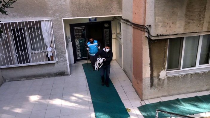 Avcılar'da 2 köpek, evde ölü bulunan sahiplerinin yanına polisi yaklaştırmadı -8