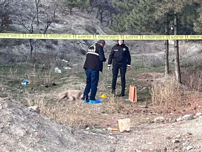Ankara'da tüfekle vurulmuş 4 köpek ölüsü bulundu -1