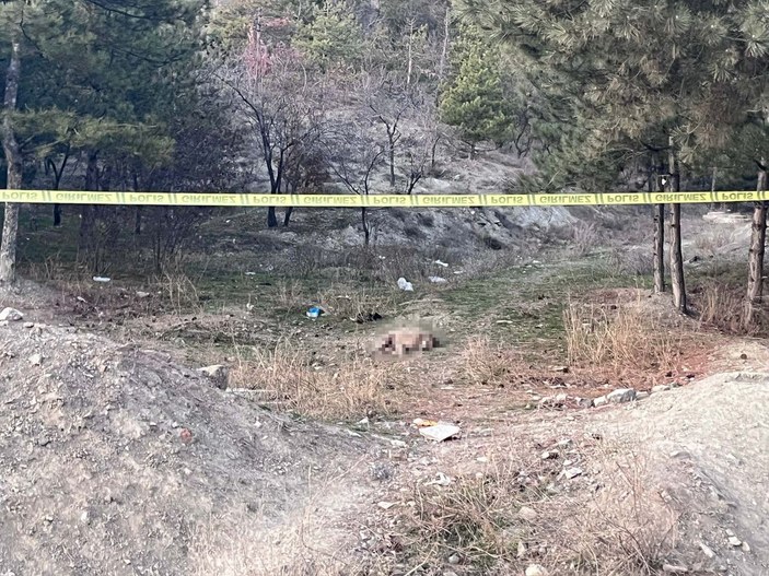 Ankara'da tüfekle vurulmuş 4 köpek ölüsü bulundu -3
