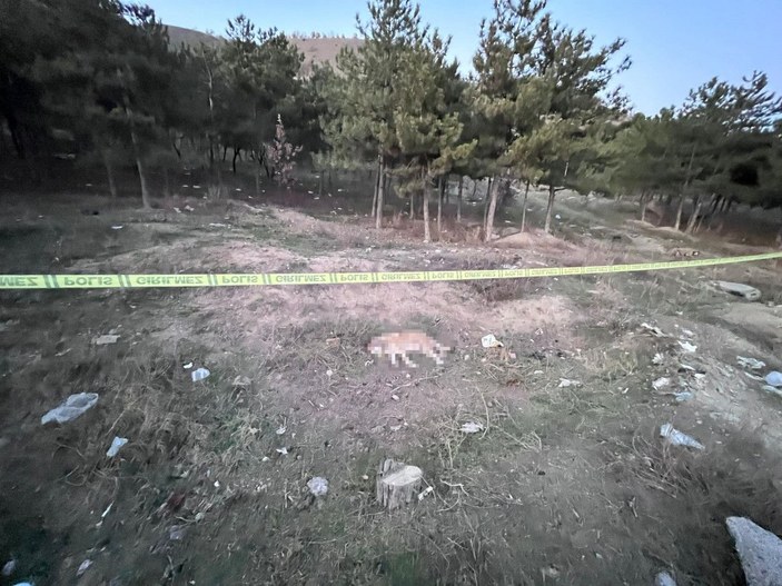 Ankara'da tüfekle vurulmuş 4 köpek ölüsü bulundu -5