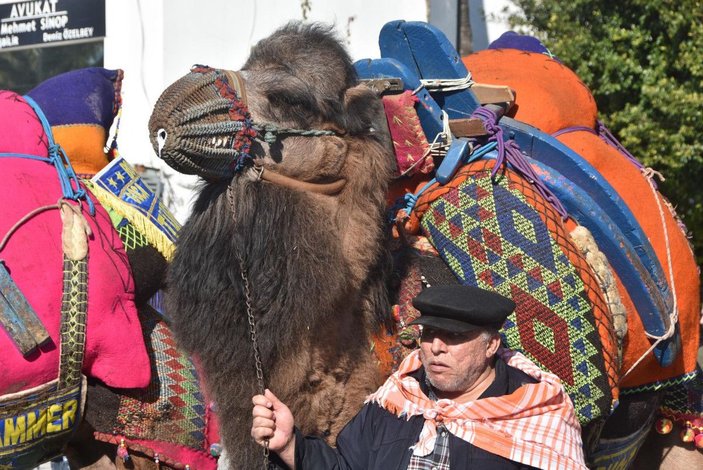 Bodrum sokaklarına develer çıktı, turistler fotoğraf çektirdi -5