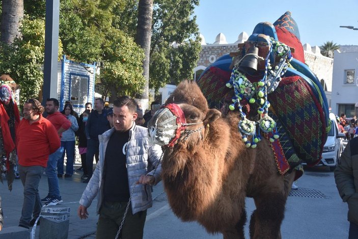 Bodrum sokaklarına develer çıktı, turistler fotoğraf çektirdi -6