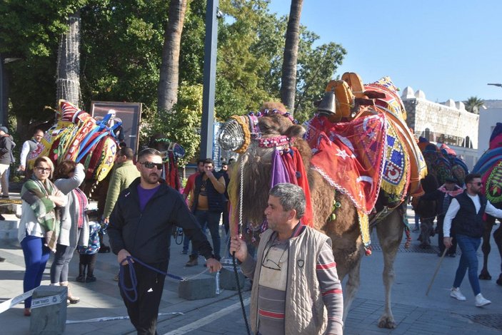 Bodrum sokaklarına develer çıktı, turistler fotoğraf çektirdi -10