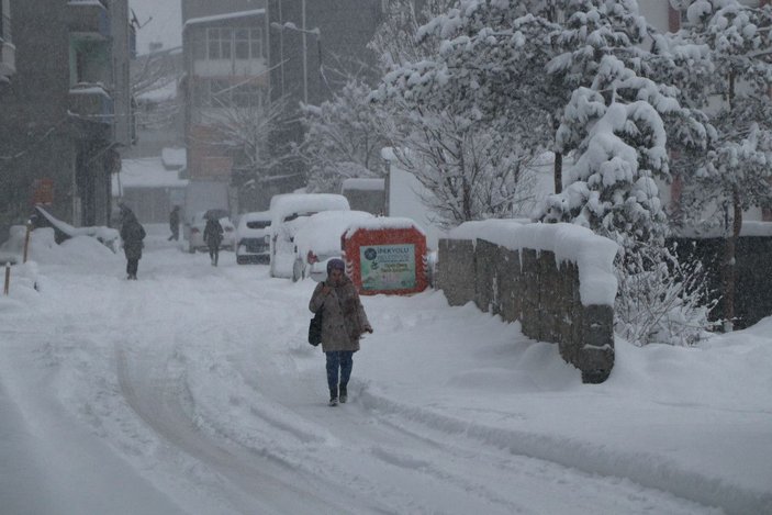 Van'da kar yağışı; 3 ilçede taşıma kapsamındaki okullar tatil -7