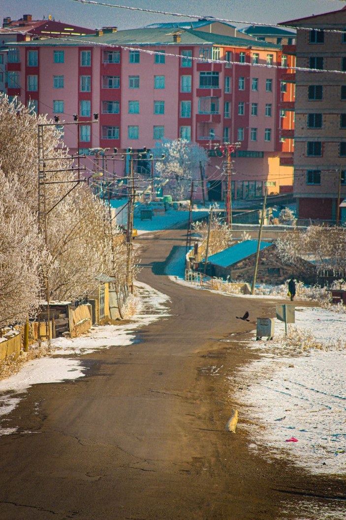 Kar yağmayan Doğu Anadolu, Sibirya soğuklarına teslim -7