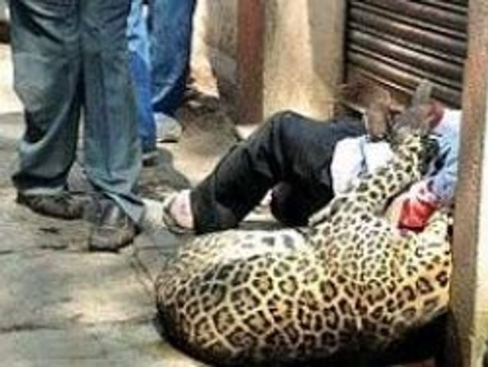 İnsan yiyen leopara sokak ortasında infaz
