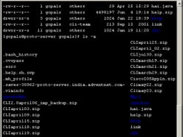Telnet nedir?