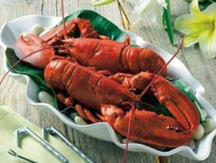 Istakoz neden canlı olarak pişirilir?