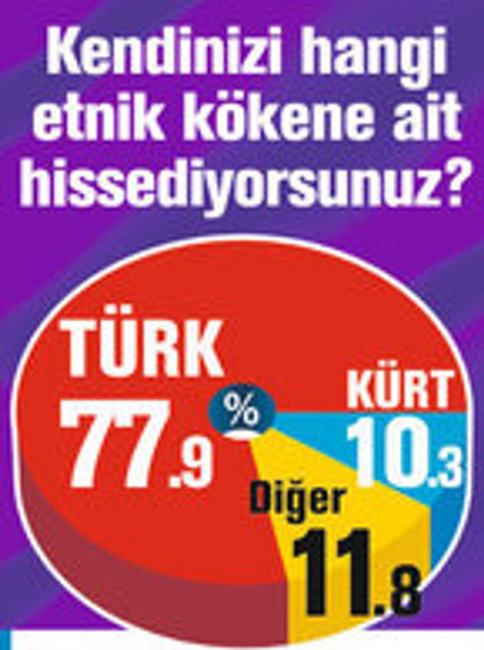 Türk müsün Kürt müsün anketi