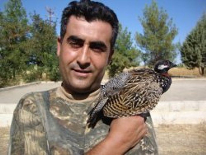 Komutan askeri cezaevini aşk yuvasına çevirdi