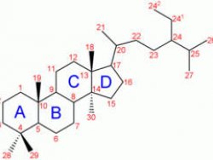 Steroid nedir