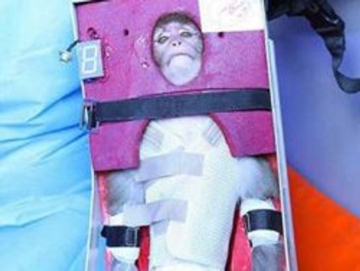 ABD İran'ın uzaya maymun gönderdiğine inanmadı