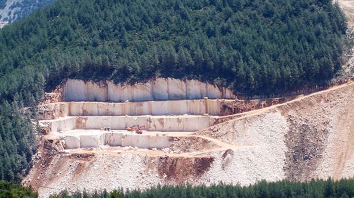 Antalya'da dünya mirası sedir ağaçları katlediliyor