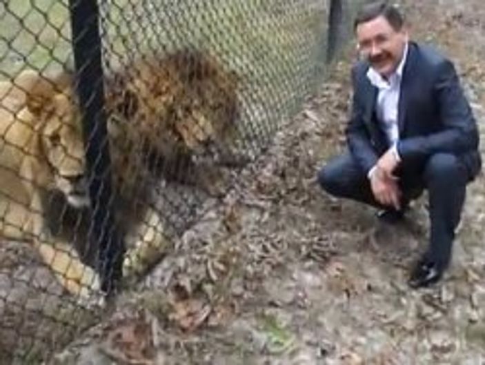 Melih Gökçek'ten aslanlı mesaj - Video