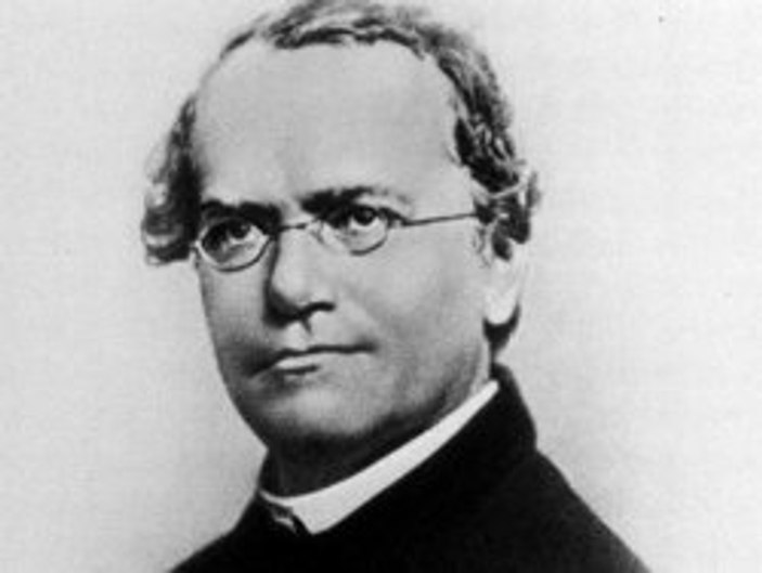 Gregor Mendel kimdir