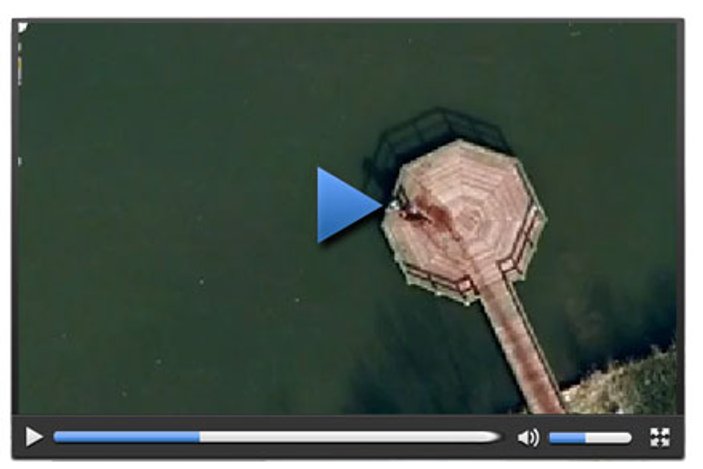 Google Maps'te cinayet görüntülendi - Video