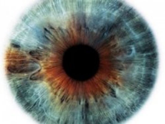 Renkler nasıl oluşur