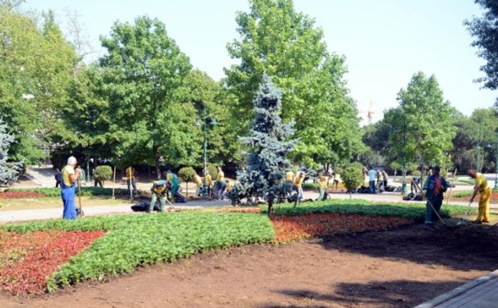 Gezi Parkı çiçek açtı