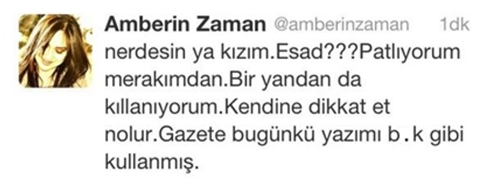 Taraf yazarı Amberin Zaman Twitter'da deşifre oldu