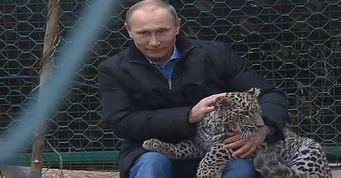Rusya Devlet Başkanı Putin leopar kafesine girdi - izle