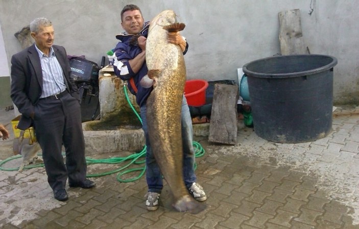 Meriç Nehri'nden 2 metrelik yayın balığı çıktı