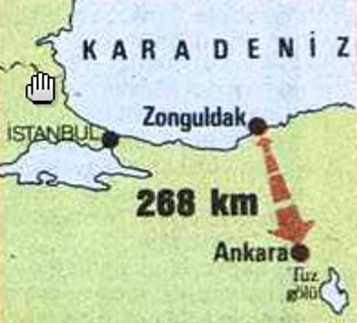 Madencilerin dramı, Özal ve Büyük Ankara Yürüyüşü