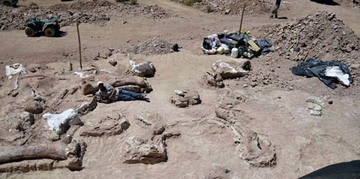 Arjantin'de dünyanın en büyük dinozoru bulundu