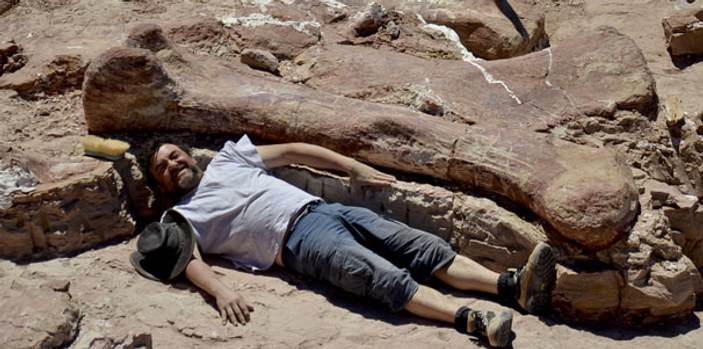Arjantin'de dünyanın en büyük dinozoru bulundu