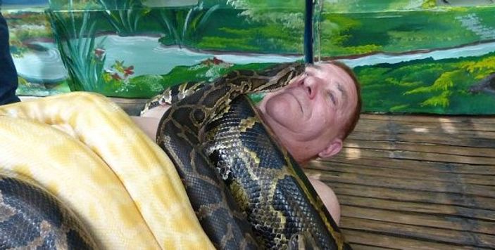 Filipinler'de dev pitonlarla spa masajı yapılıyor İZLE