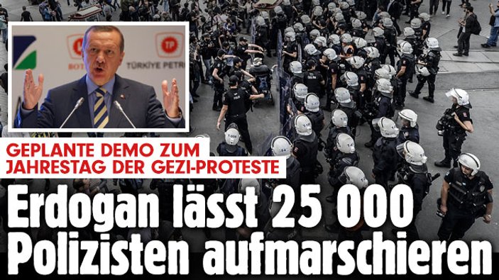 Alman Bild gazetesi yine Gezi gazı verdi