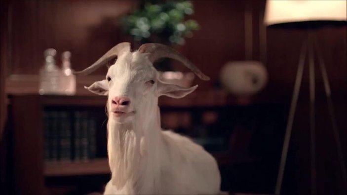 Kadir İnanır'ın keçi ile oynadığı ilginç reklam İZLE