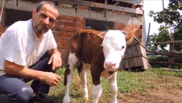 Hayvan sevgisinde son nokta İZLE