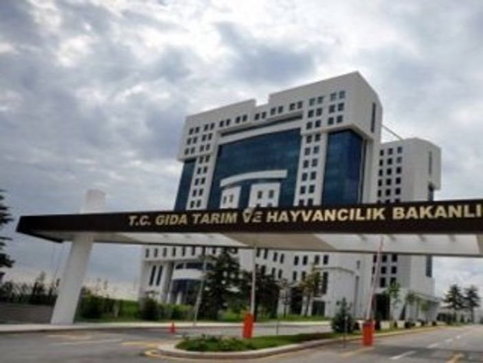 bakanlık