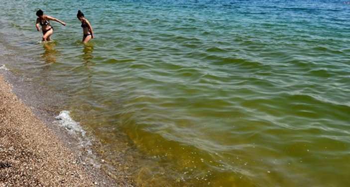 Antalya'da denizin yeşile dönmesinin nedeni belli oldu