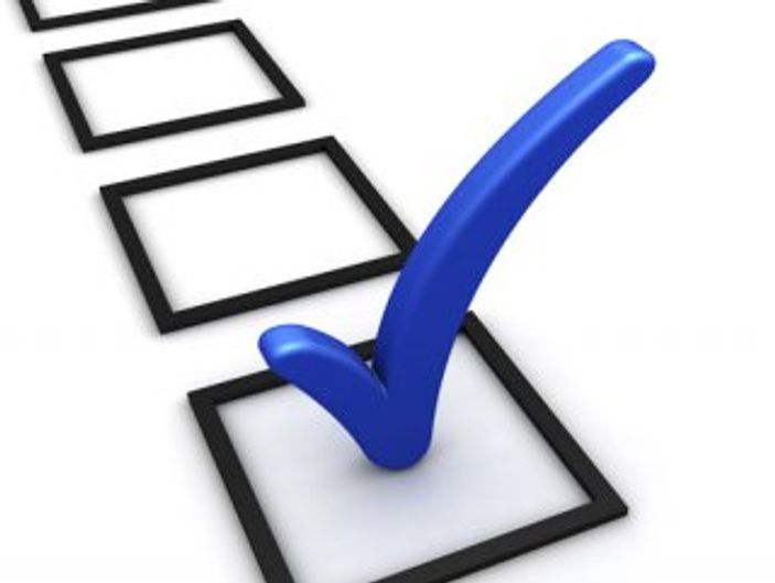 Avrupa Birliği: Türkiye'deki seçimler profesyonelceydi