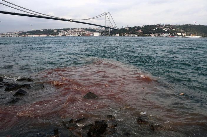 Doğan Medyası'nın geleneksel kurban haberi