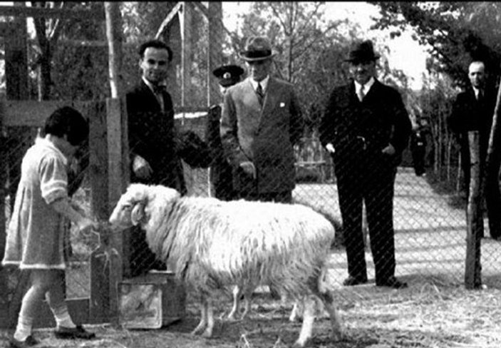 Atatürk'ün kurbanlık koyunla çekilen fotoğrafı